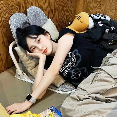 燕子盗